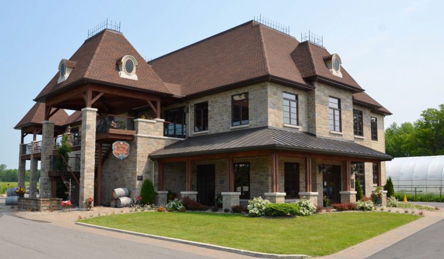 Projet commercial vignoble Rivière-du-chêne